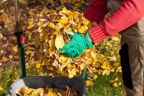 Waste management professionals in Mitcham
